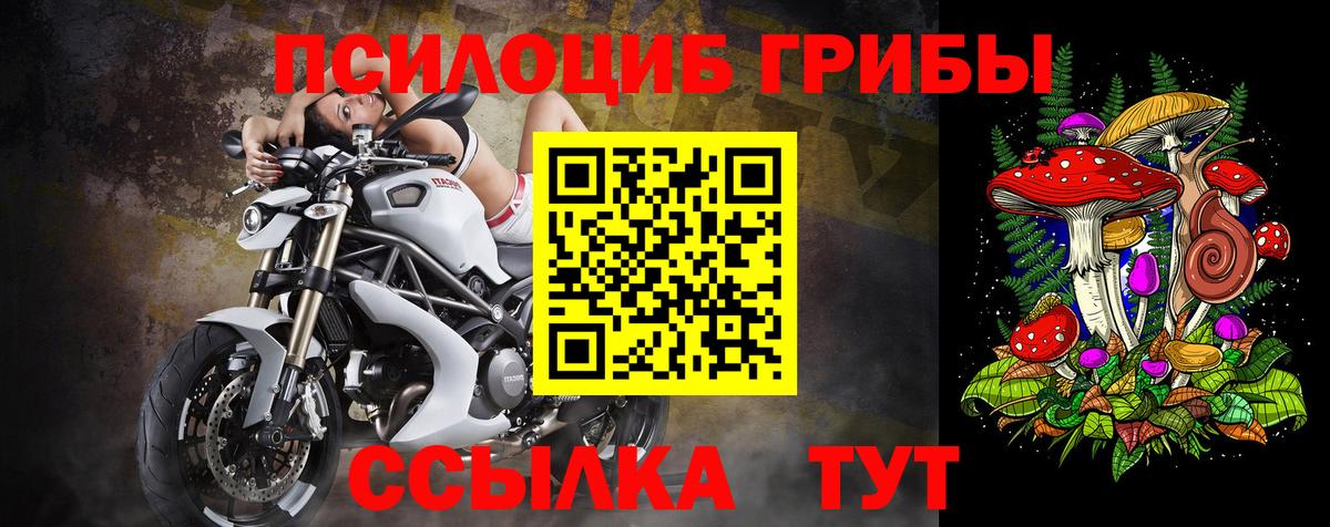 наркотики  Вход с VPN  Солнечногорск  Псилоцибиновые грибы MAGIC MUSHROOMS  Галлюциногенные грибы MAGIC MUSHROOMS 